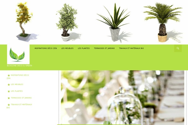 deco-friendly.com site used Ridizain