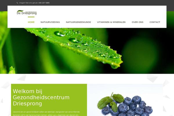 Site using Custom CSS plugin