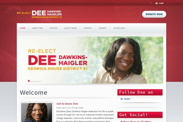 Candidate theme site design template sample