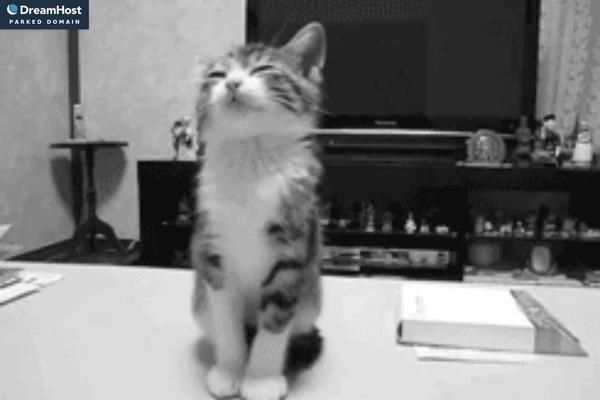 Uncode theme site design template sample