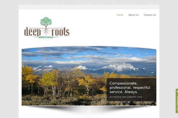 Andrina Lite theme site design template sample