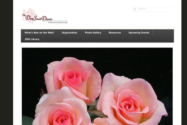 Function theme site design template sample