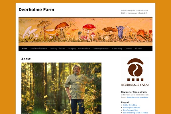 Site using BNS Corner Logo plugin