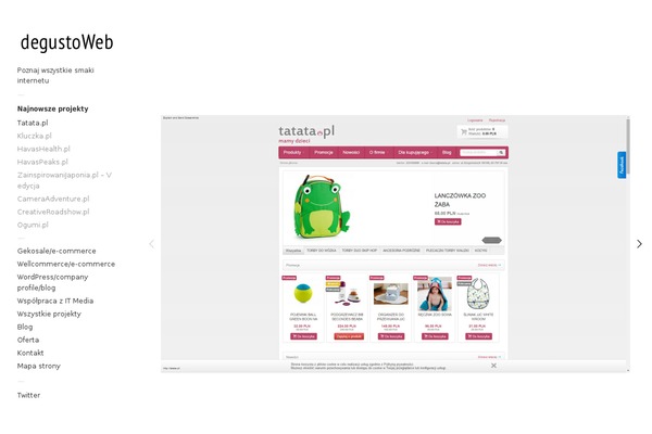 Touchfolio theme site design template sample