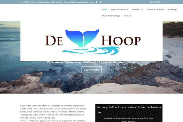 Divi-2 theme site design template sample