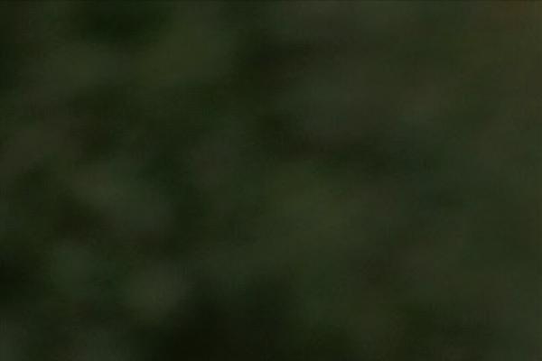 Brooklyn theme site design template sample