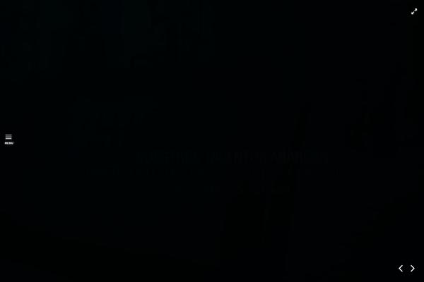 Stellar theme site design template sample