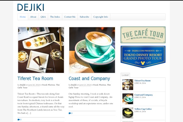 Site using WP Category Post List Widget plugin