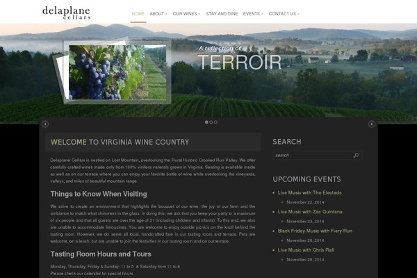 Panacea theme site design template sample