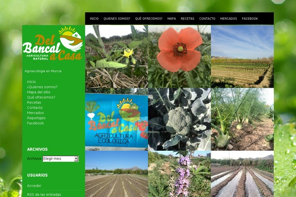 Xenon theme site design template sample