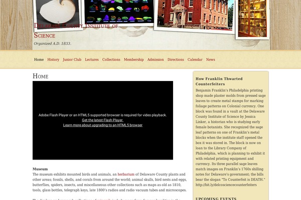 MT white theme site design template sample