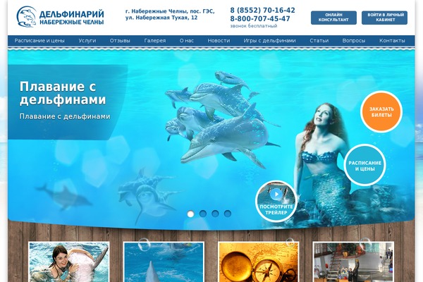 delfinariy-chelny.ru site used Dolphin-chelnu