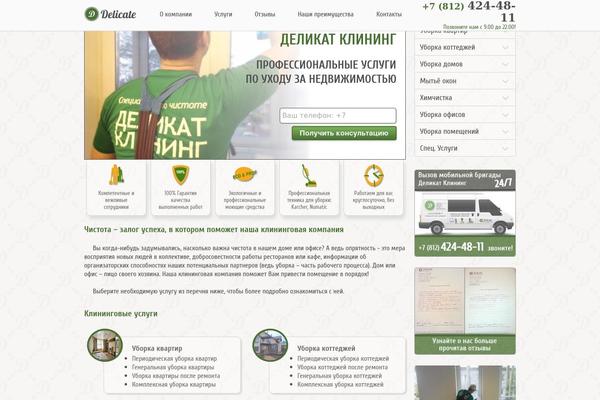 delicate-clean.ru site used Delicate