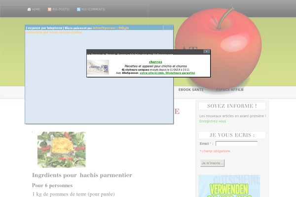 AppleX theme site design template sample