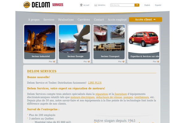 Pro theme site design template sample