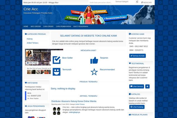 Okestore1.0 theme site design template sample