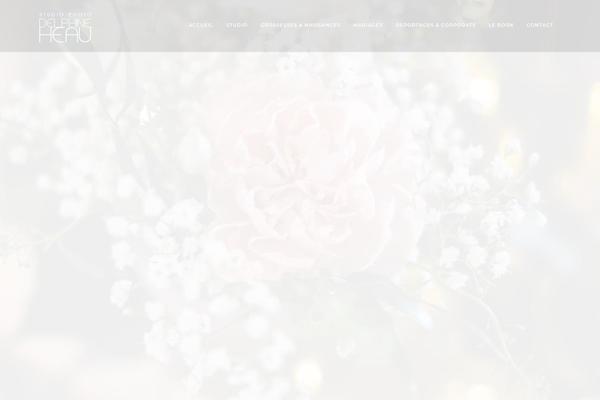 Photography theme site design template sample