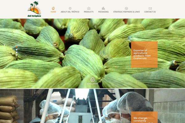 Neve theme site design template sample