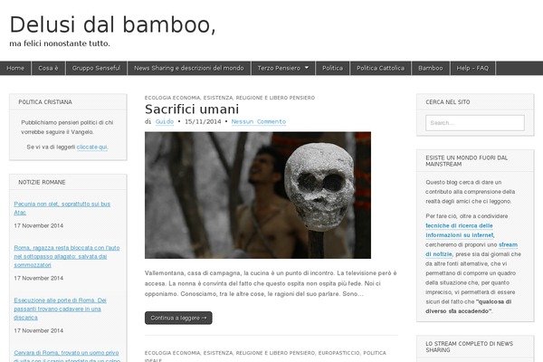 Site using Category Posts Widget plugin