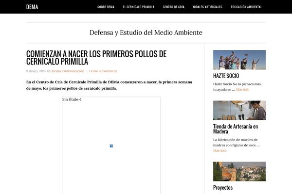 Eleven40 Pro theme site design template sample