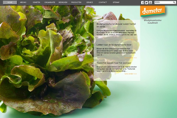 Demeter theme site design template sample
