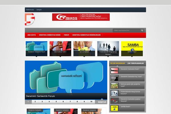 Site using Seo-tags plugin