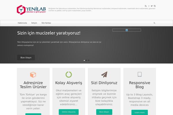 evolve theme site design template sample