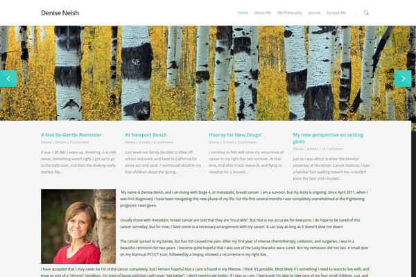 Salient theme site design template sample