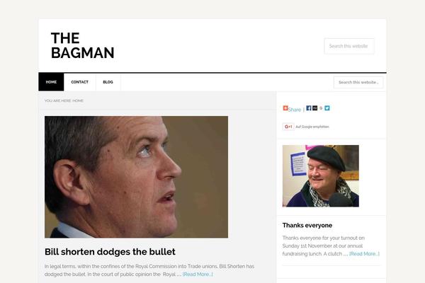 News Pro theme site design template sample