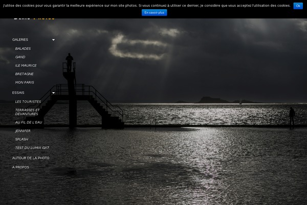 LENS theme site design template sample