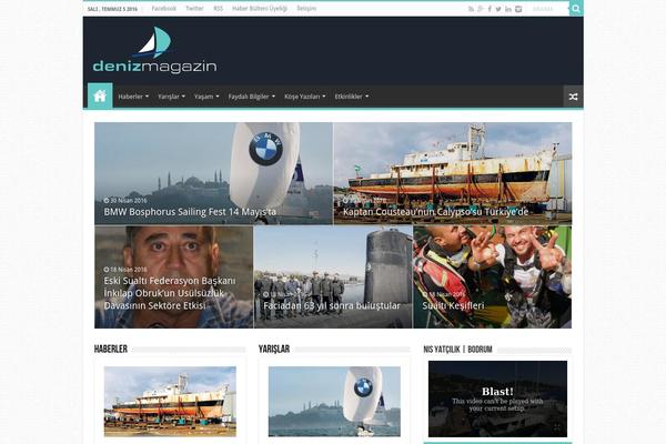Snapwire theme site design template sample