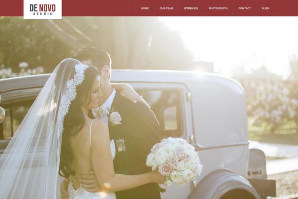 Frost theme site design template sample