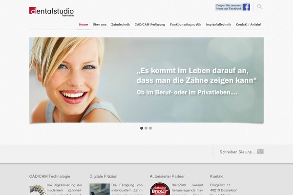 Fringetech theme site design template sample
