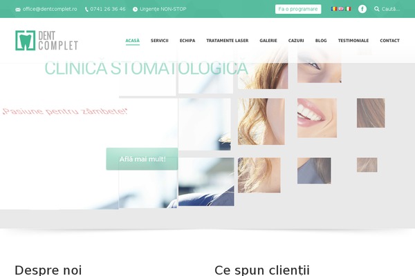 Apicona theme site design template sample