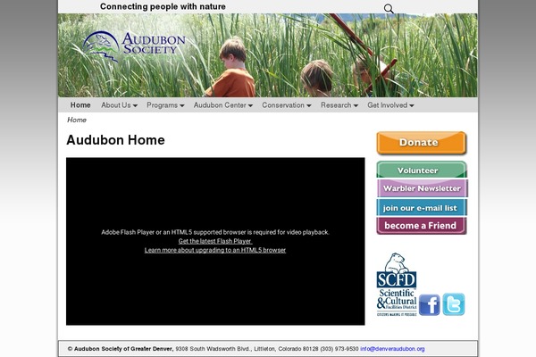 Mf-child theme site design template sample