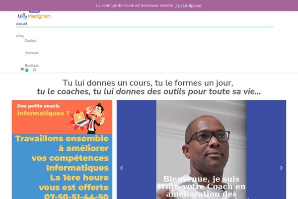 Site using Mailchimp-for-woocommerce plugin