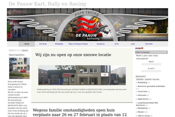 raindrops theme site design template sample