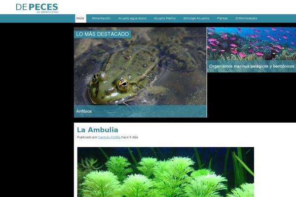 Site using Responsive-lightbox-pro plugin