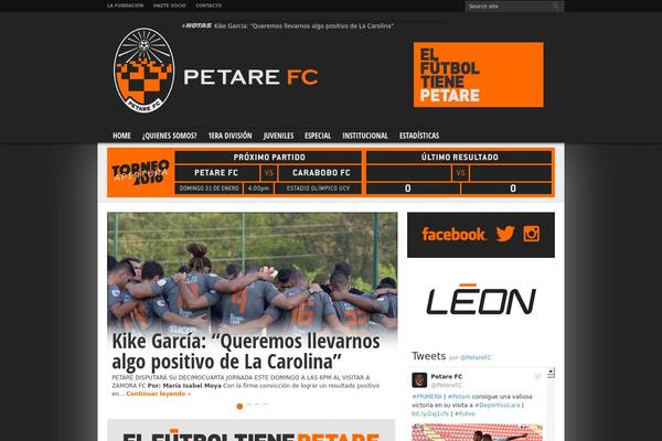 Resportsive theme site design template sample