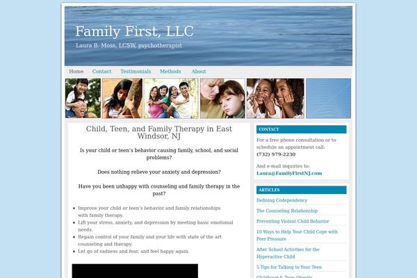 Lifestyle theme site design template sample