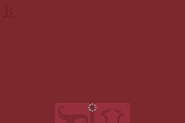 Jupiter Child theme site design template sample