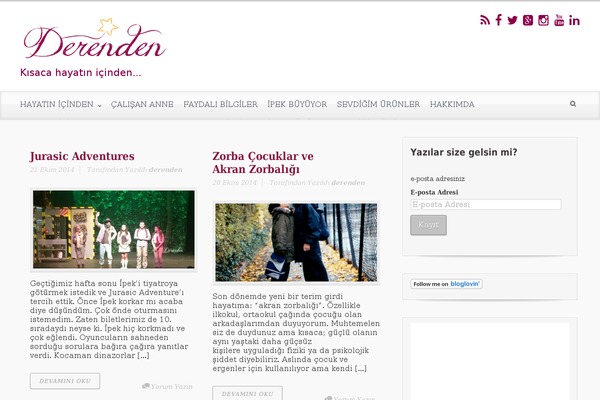 Voice theme site design template sample