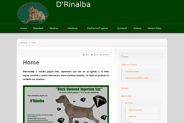 News theme site design template sample