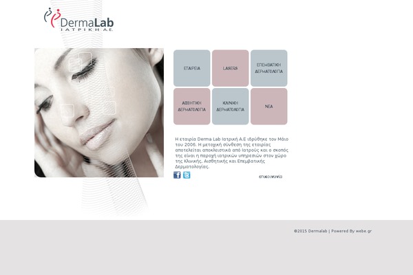 Simon WP Framework theme site design template sample