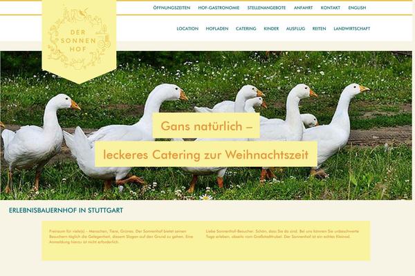 Site using Super-video-player plugin