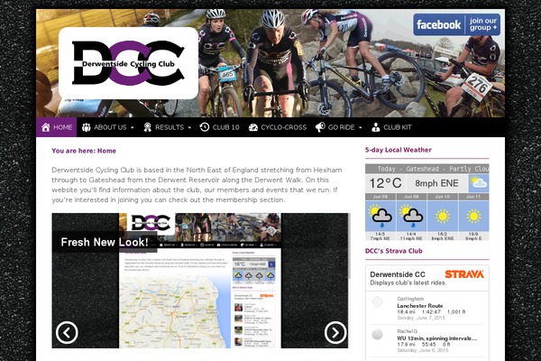 Dcc theme site design template sample