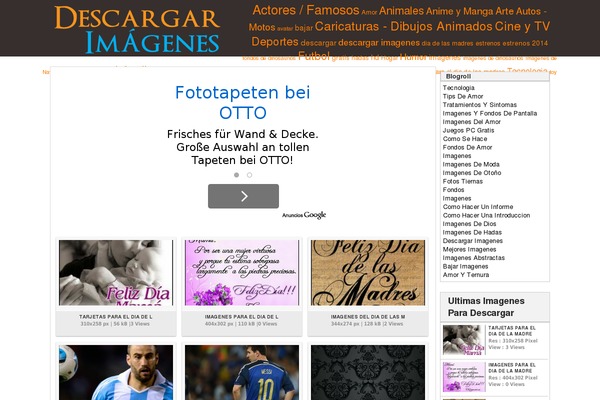 nichostheme theme websites examples