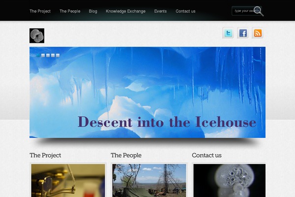 Boldy theme site design template sample