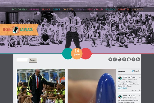 Site using Meks Smart Social Widget plugin