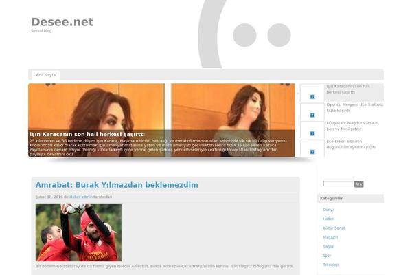 Custom theme site design template sample
